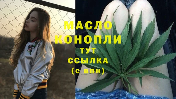 стаф Магас