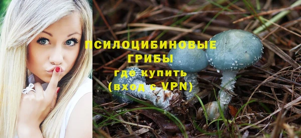 мескалин Майский