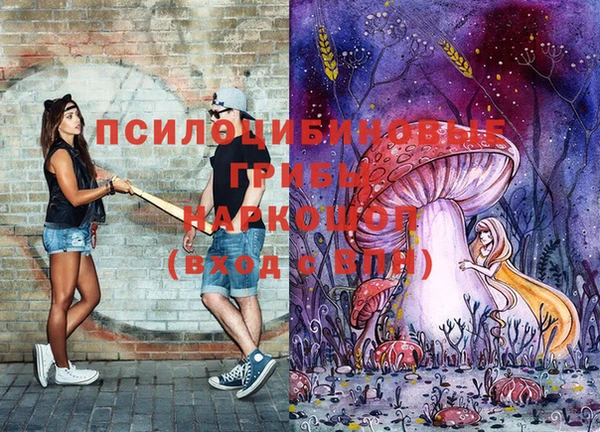 спиды Магадан