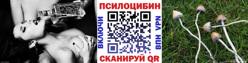закладка Змеиногорск Галлюциногенные грибы MAGIC MUSHROOMS